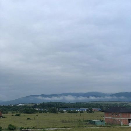 Rene Ap Daire Cisnădie Dış mekan fotoğraf