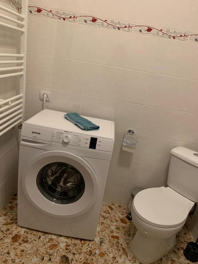 Rene Ap Daire Cisnădie Dış mekan fotoğraf